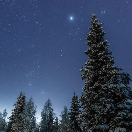 In Lapland - Rukakorpi 1 Σπίτι διακοπών